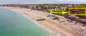 La Piovra Vama Veche, Vama Veche